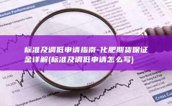 标准及调低申请怎么写