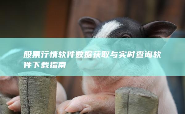 股票行情软件数据获取与实时查询软件下载指南