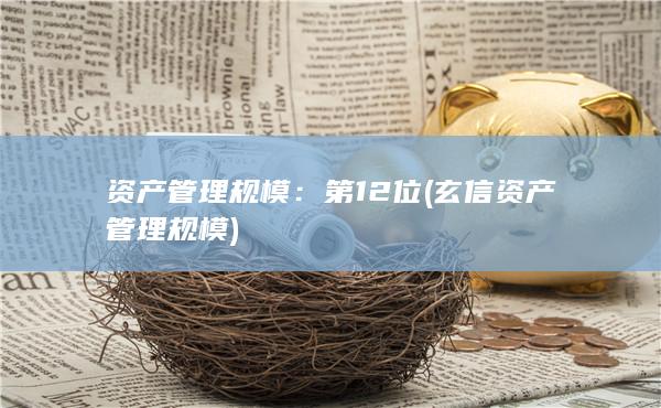 资产管理规模：第12位(玄信资产管理规模)