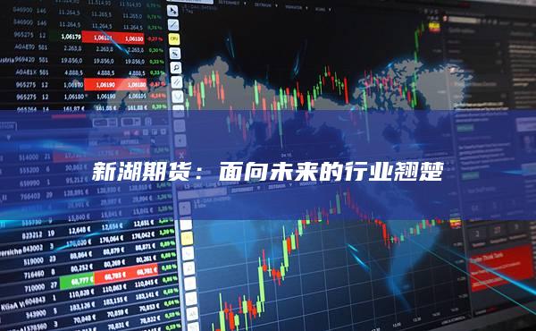 新湖期货：面向未来的行业翘楚