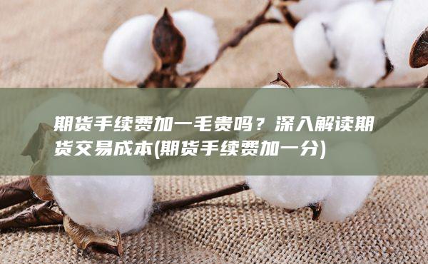 期货手续费加一毛贵吗？深入解读期货交易成本 (期货手续费加