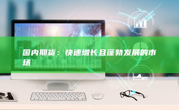 国内期货：快速增长且蓬勃发展的市场