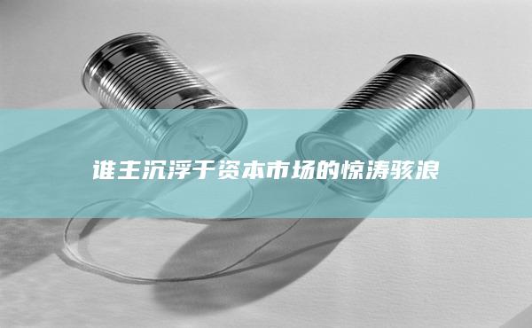 谁主沉浮于资本市场的惊涛骇浪