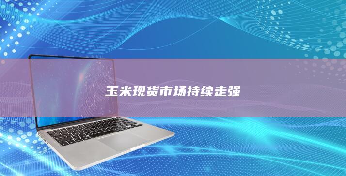 玉米现货市场持续走强
