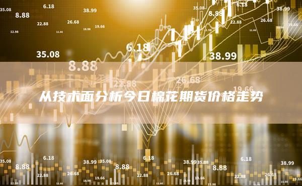 从技术面分析今日棉花期货价格走势