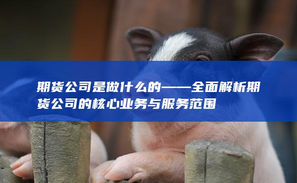 期货公司是做什么的——全面解析期货公司的核心业务与服务范围