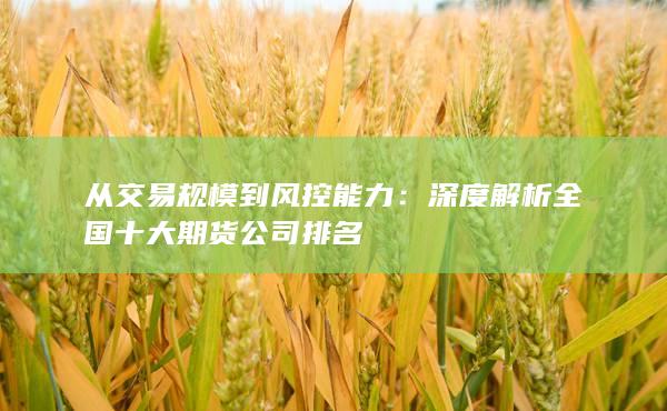 从交易规模到风控能力