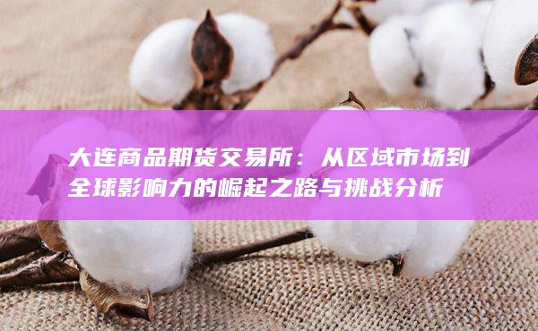 从区域市场到全球影响力的崛起之路与挑战分析