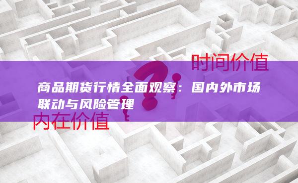 国内外市场联动与风险管理