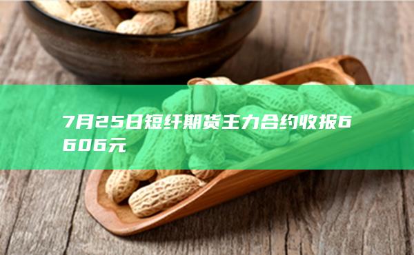 7月25日短纤期货主力合约收报6606元
