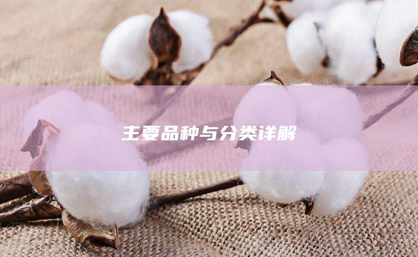 主要品种与分类详解