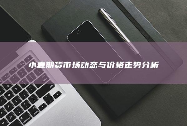 小麦期货市场动态与价格走势分析