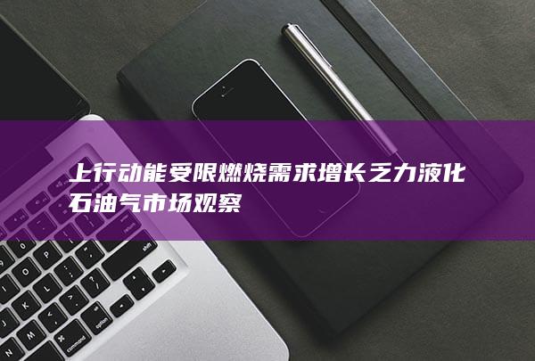 上行动能受限 燃烧需求增长乏力 液化石油气市场观察
