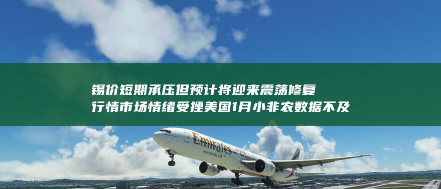 美国1月小非农数据不及预期