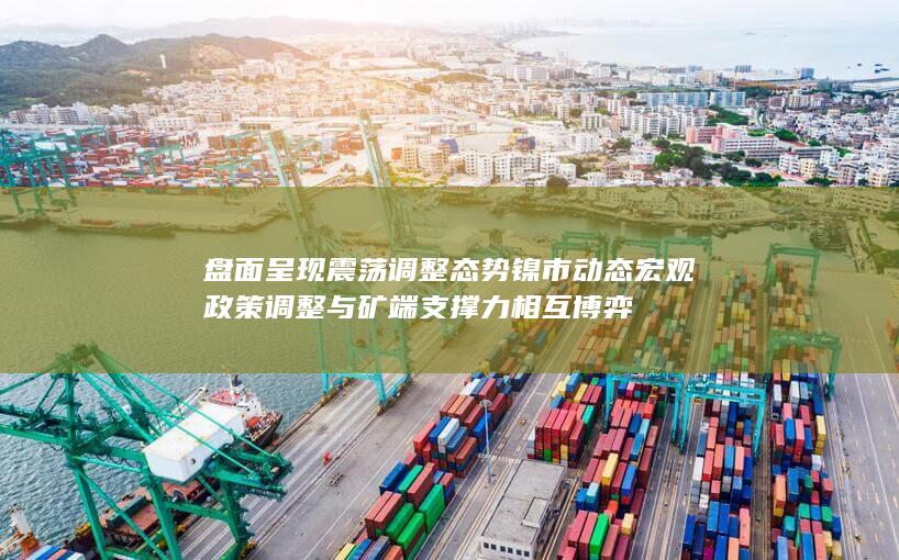 盘面呈现震荡调整态势 镍市动态 宏观政策调整与矿端支撑力相