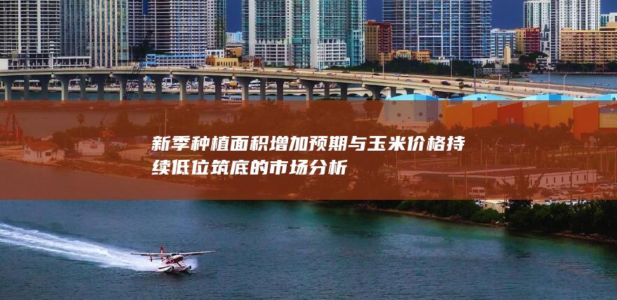 新季种植面积增加预期与玉米价格持续低位筑底的市场分析