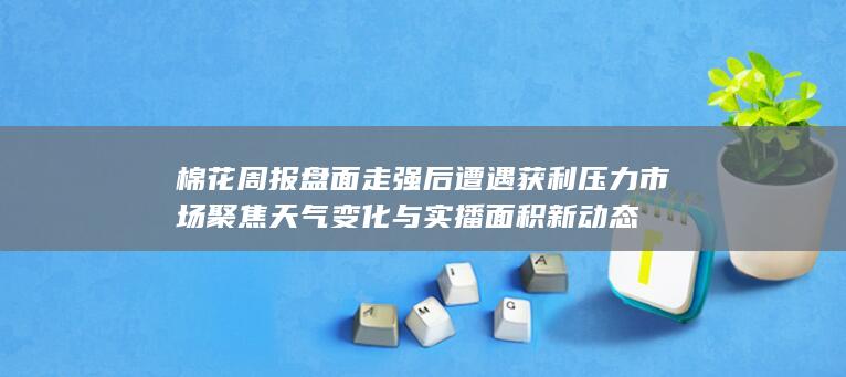 市场聚焦天气变化与实播面积新动态