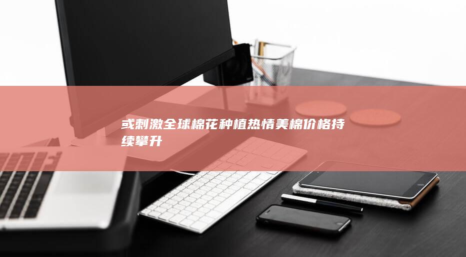 棉花期货价格